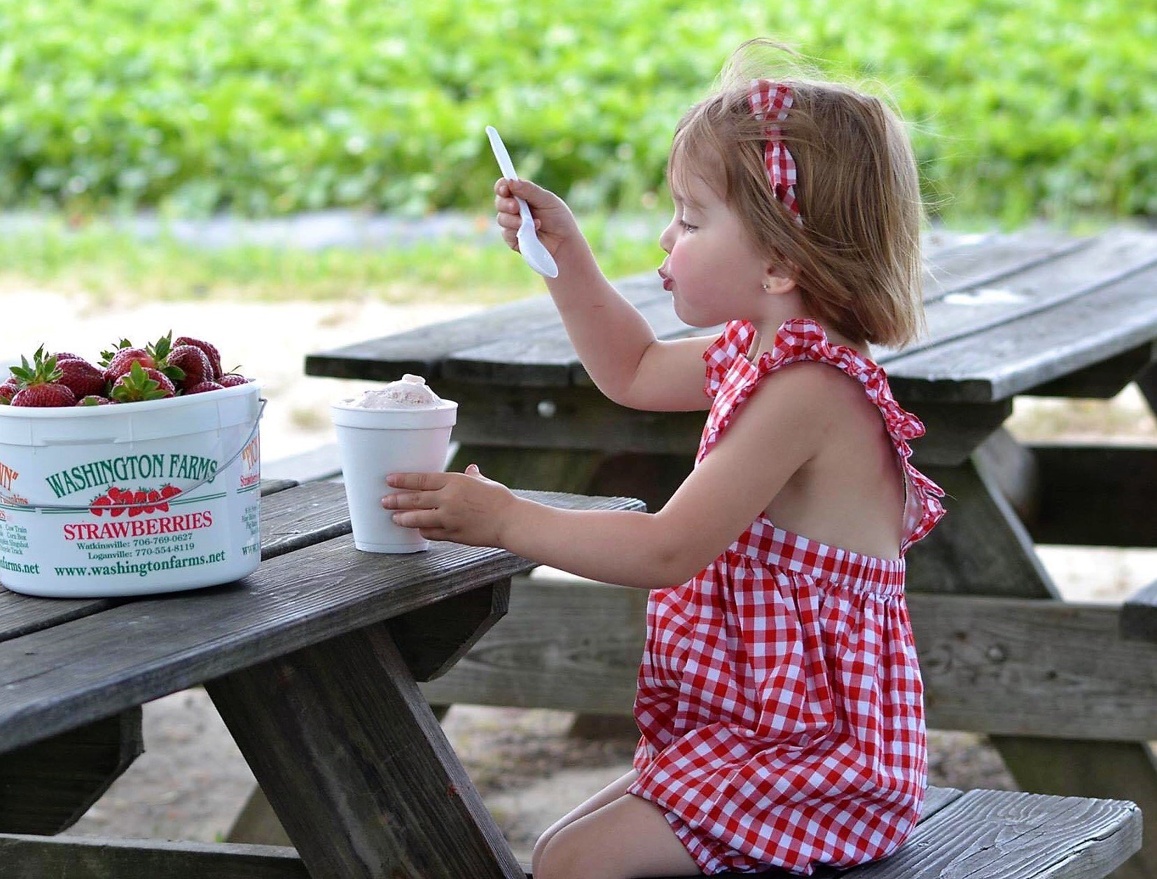 🍓 과실의 나라 커플즈 (카지츠노쿠니 캇푸르즈) 이미지 10